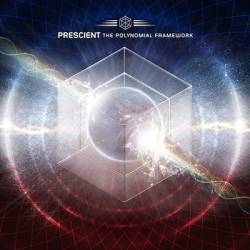 The Polynomial Framework